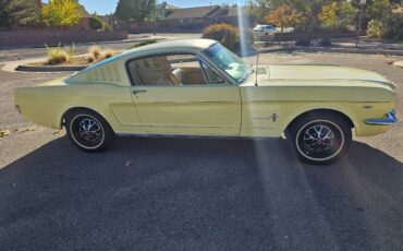 Ford-Mustang-fastback-1966-2