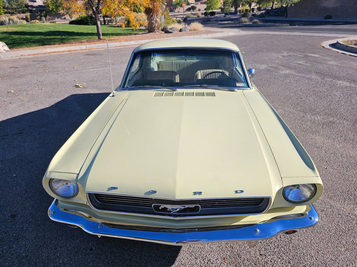 Ford-Mustang-fastback-1966-8