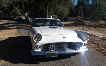 Ford-Thunderbird-1955-1