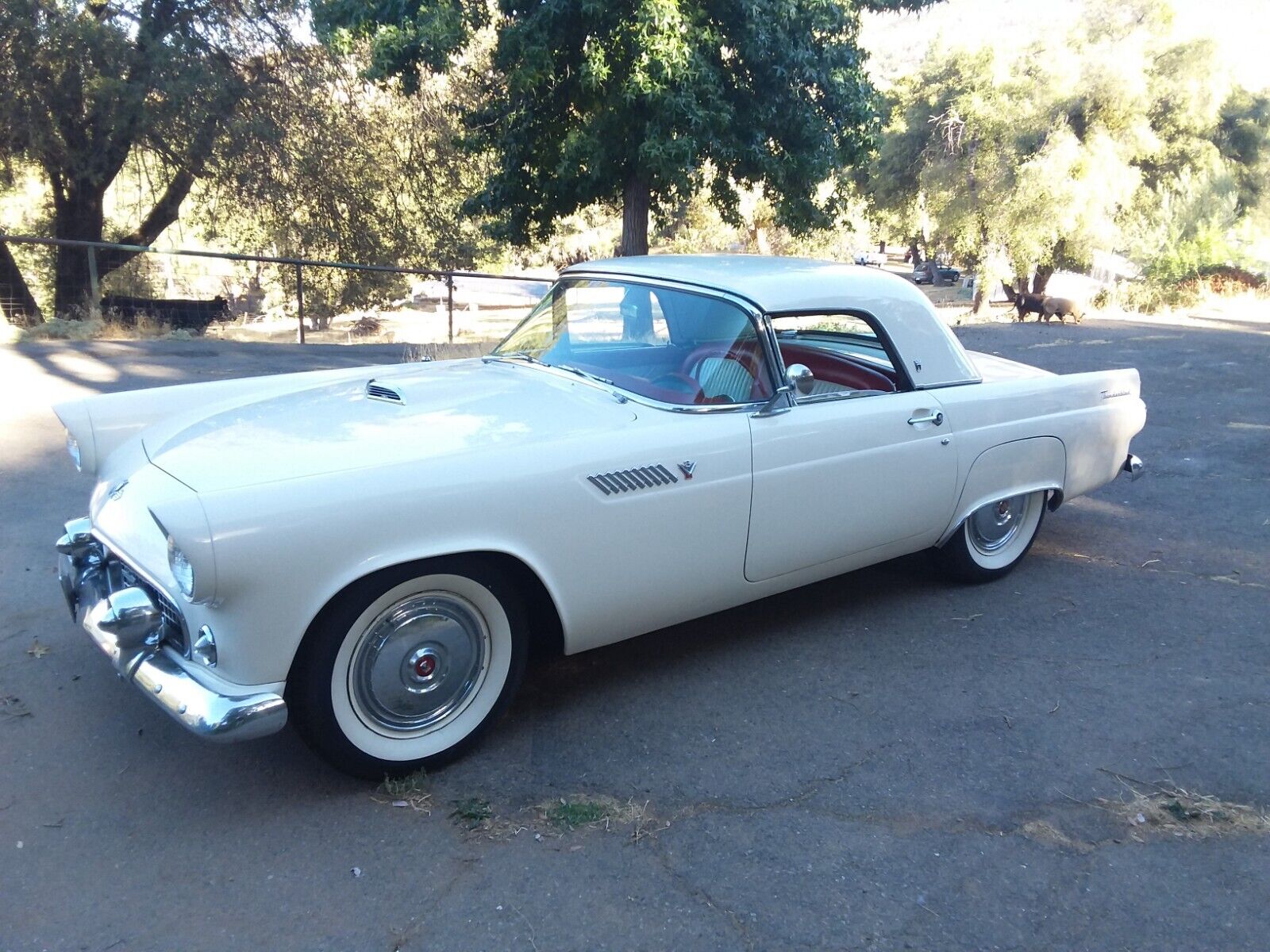 Ford Thunderbird  1955 à vendre