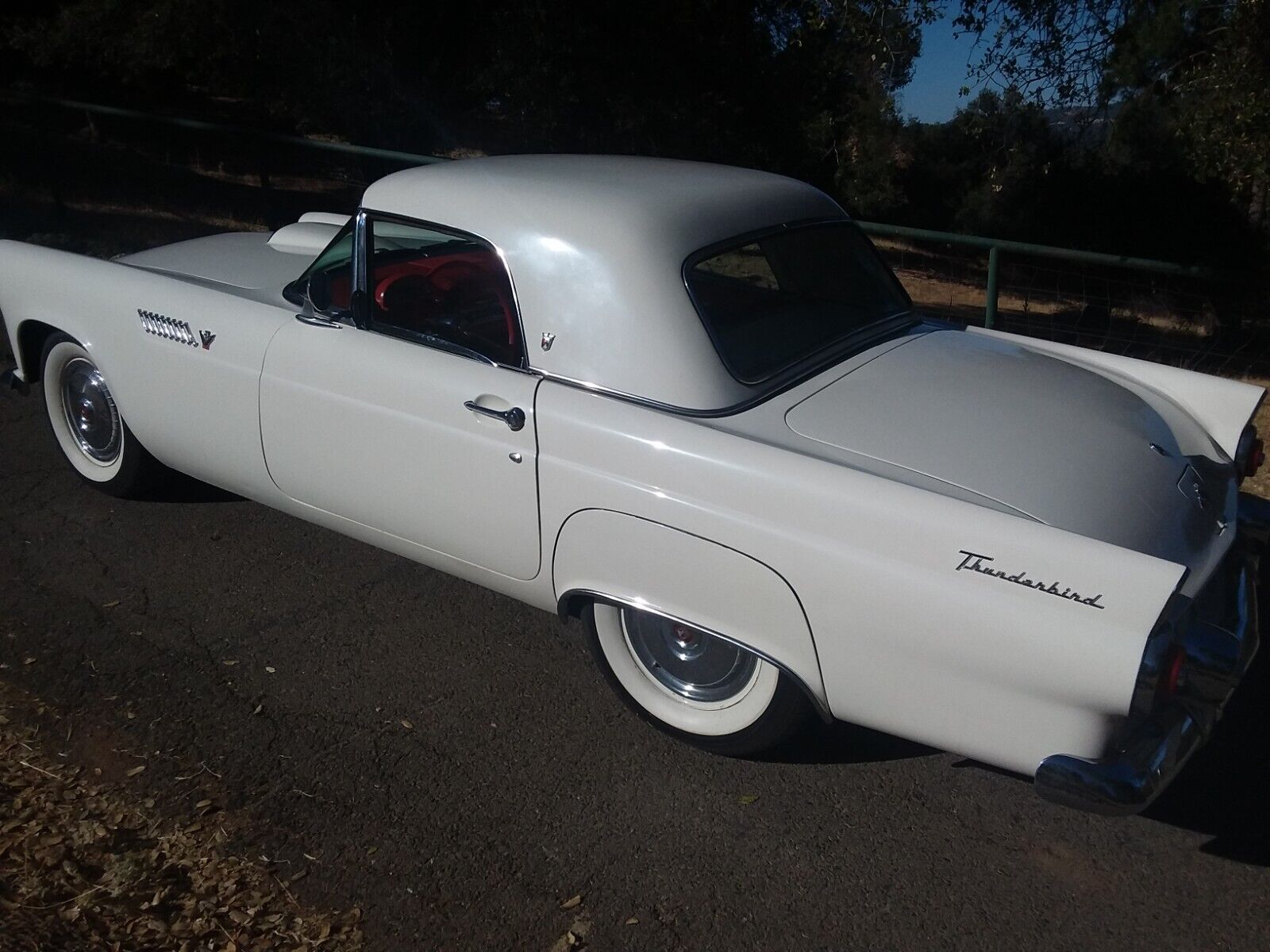 Ford-Thunderbird-1955-19