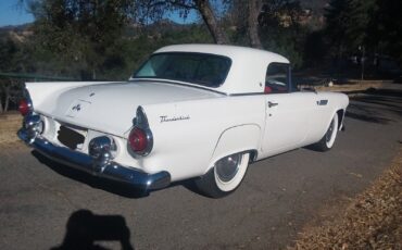 Ford-Thunderbird-1955-22