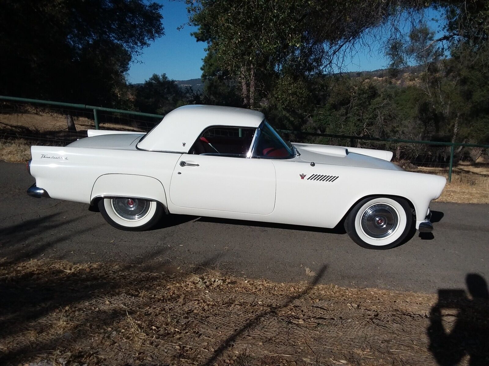 Ford-Thunderbird-1955-8