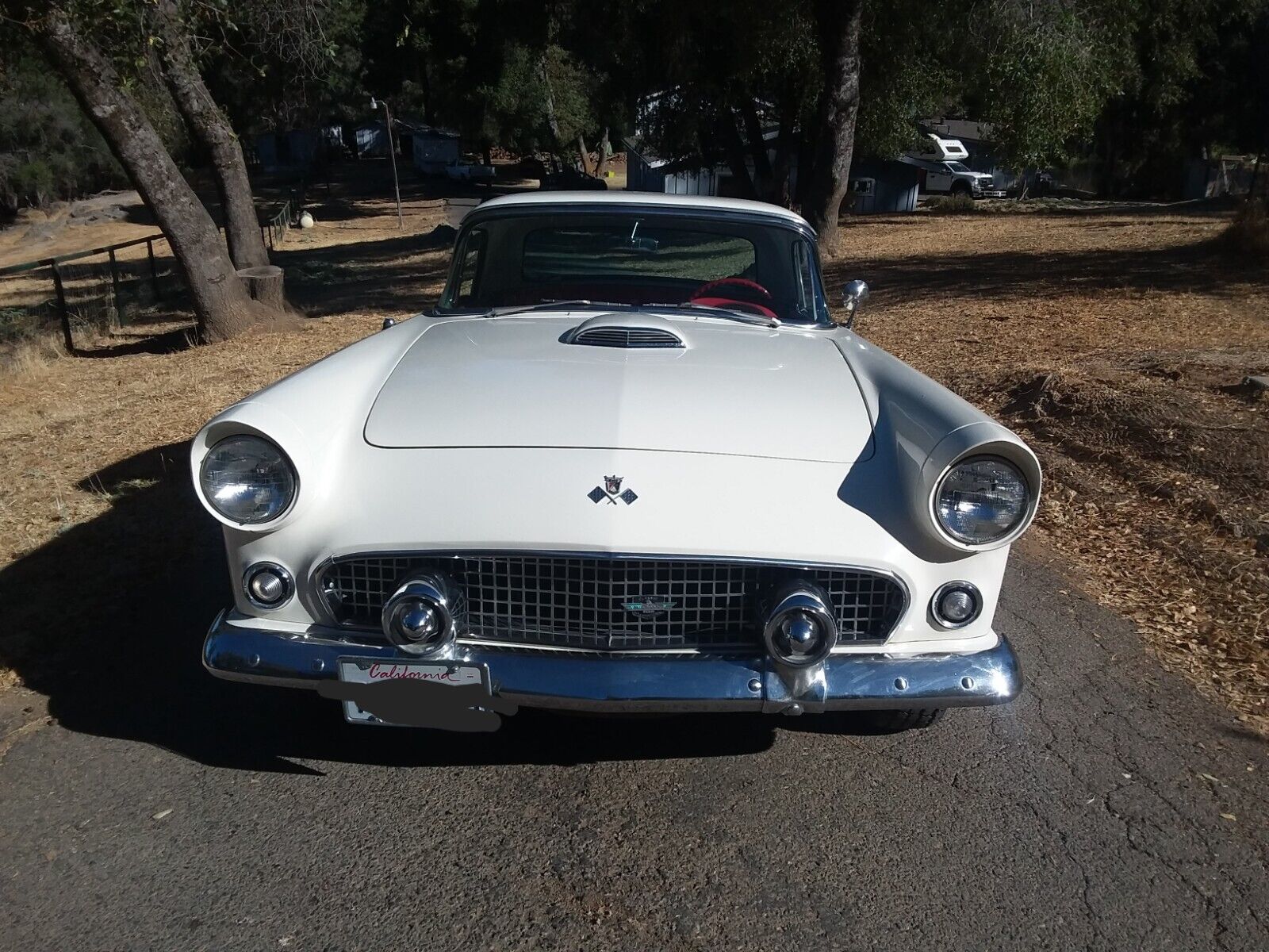 Ford-Thunderbird-1955-9