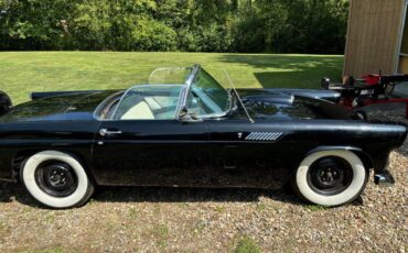 Ford-Thunderbird-1956-2