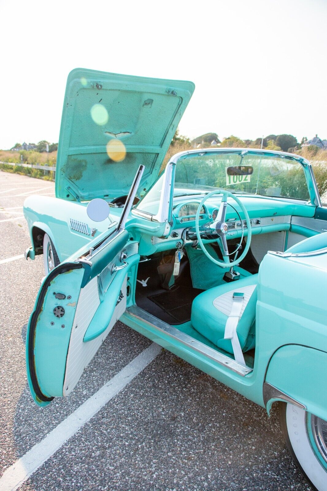 Ford-Thunderbird-Cabriolet-1955-36