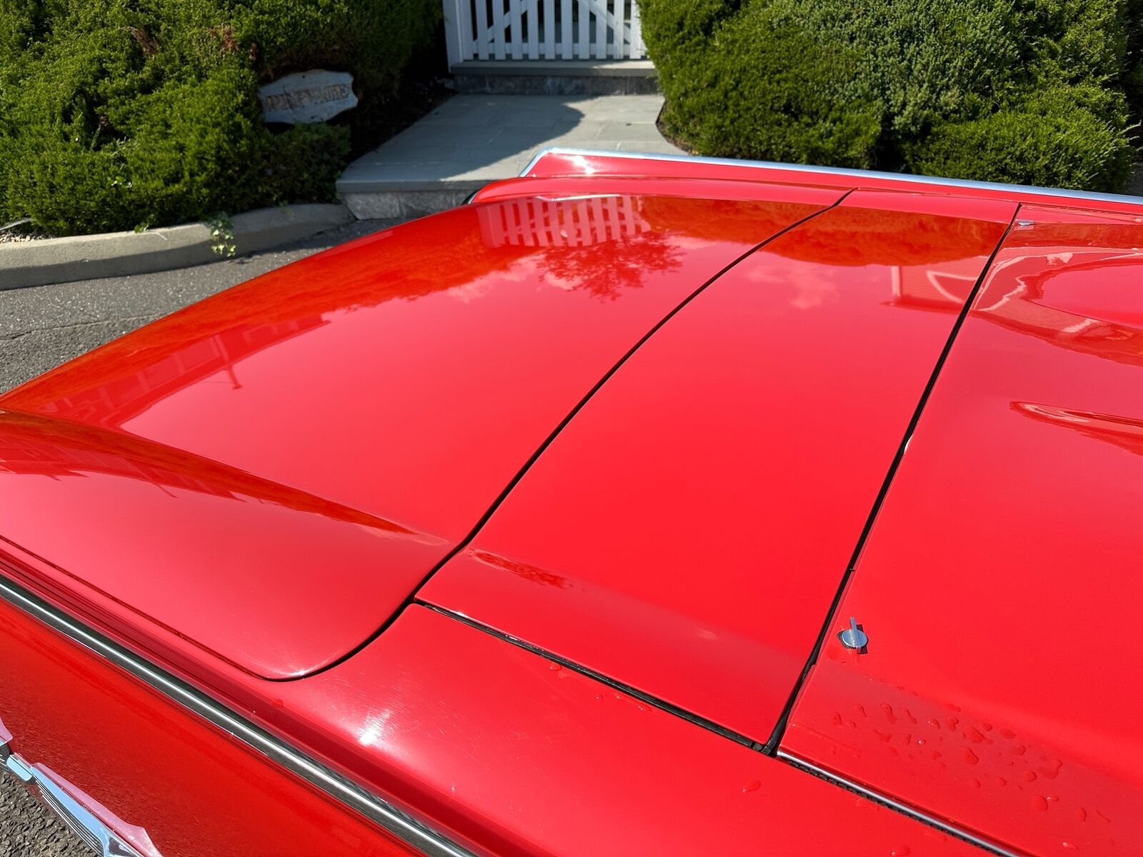 Ford-Thunderbird-Cabriolet-1962-20