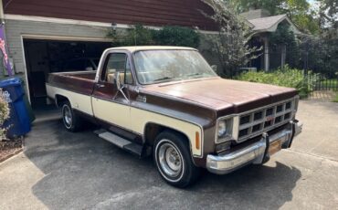 GMC-Sierra-1500-1978-5