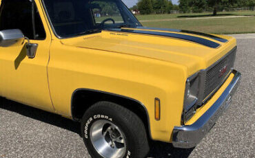 GMC-Sierra-1500-1979-11