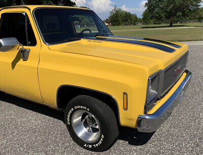 GMC-Sierra-1500-1979-11