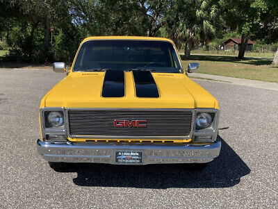 GMC-Sierra-1500-1979-7