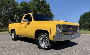 GMC-Sierra-1500-1979-8