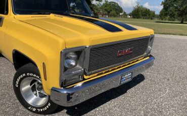 GMC-Sierra-1500-1979-9