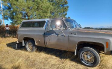 Gmc-Sierra-1500-1978-3