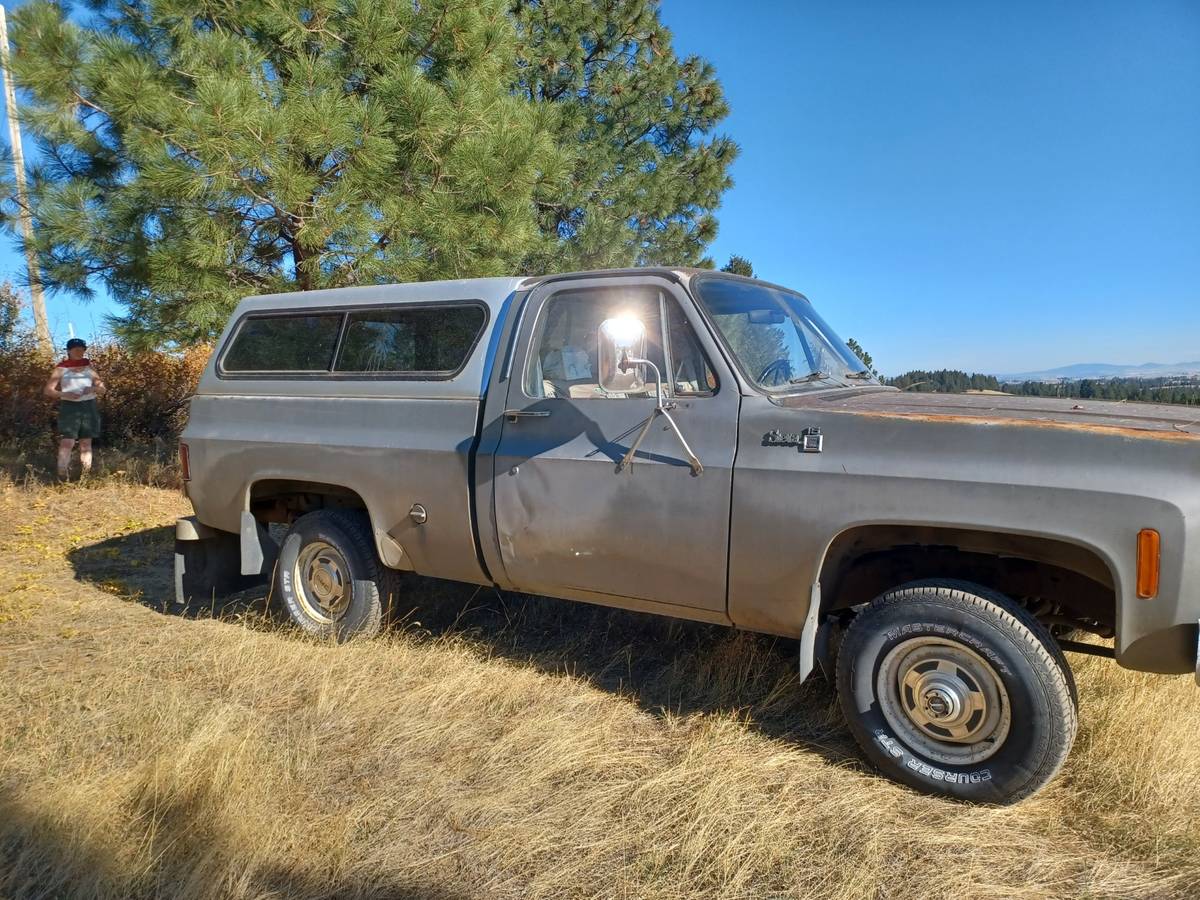 Gmc-Sierra-1500-1978-3