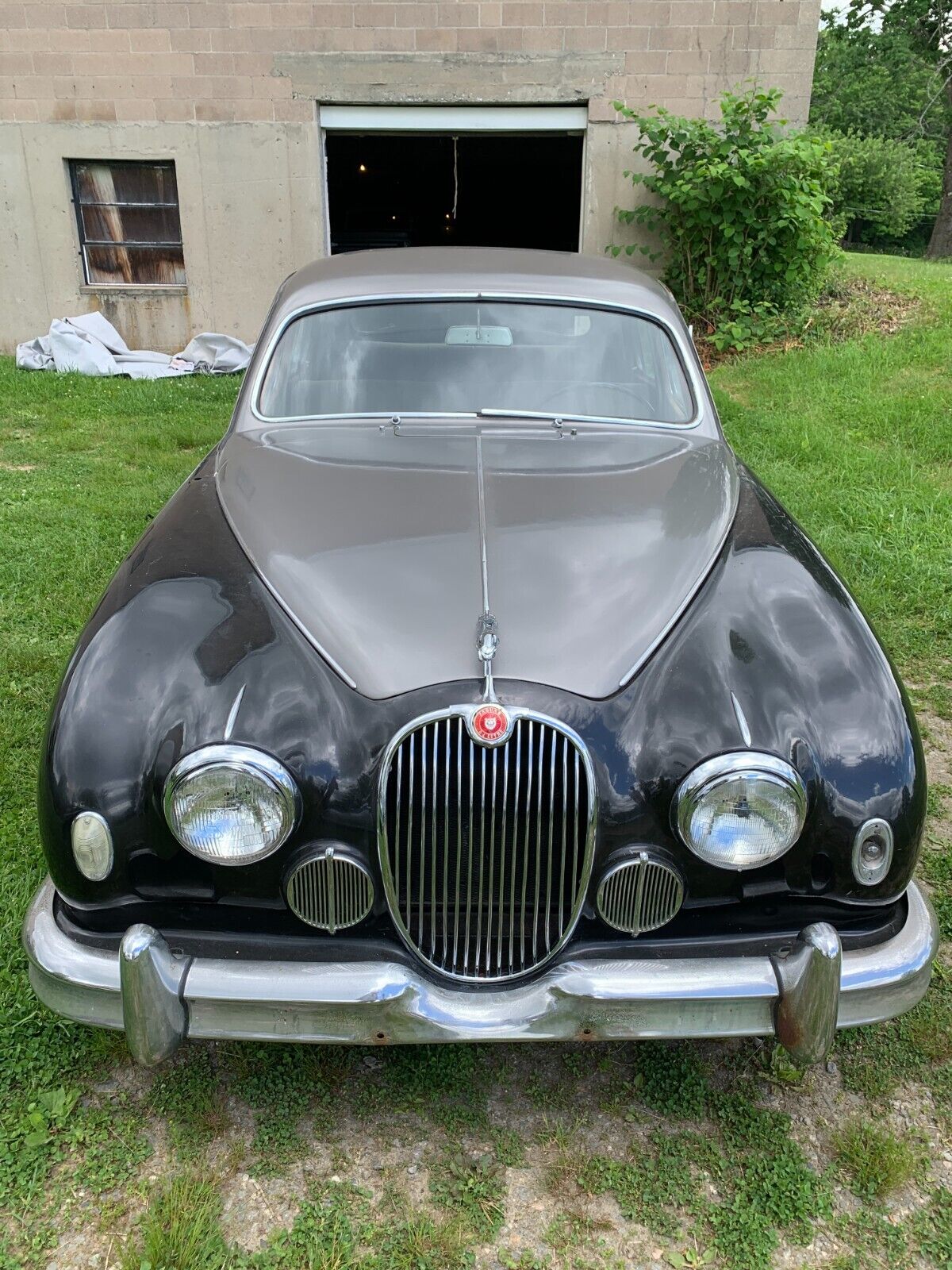 Jaguar Other  1958 à vendre