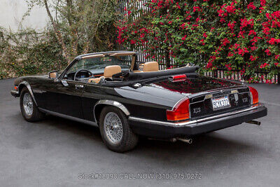 Jaguar-XJS-V12-Convertible-1990-6