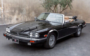 Jaguar-XJS-V12-Convertible-1990-7