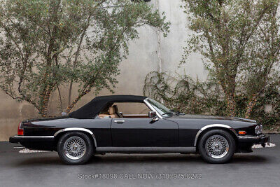 Jaguar-XJS-V12-Convertible-1990-9