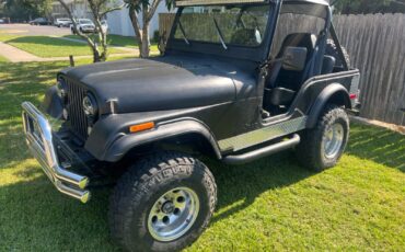 Jeep CJ Coupe 1978