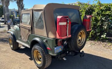 Jeep-Cj-5-golden-eagle-1978-10