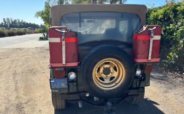 Jeep-Cj-5-golden-eagle-1978-11