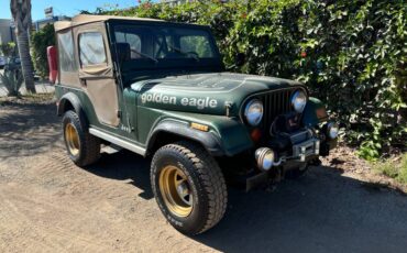 Jeep-Cj-5-golden-eagle-1978-3