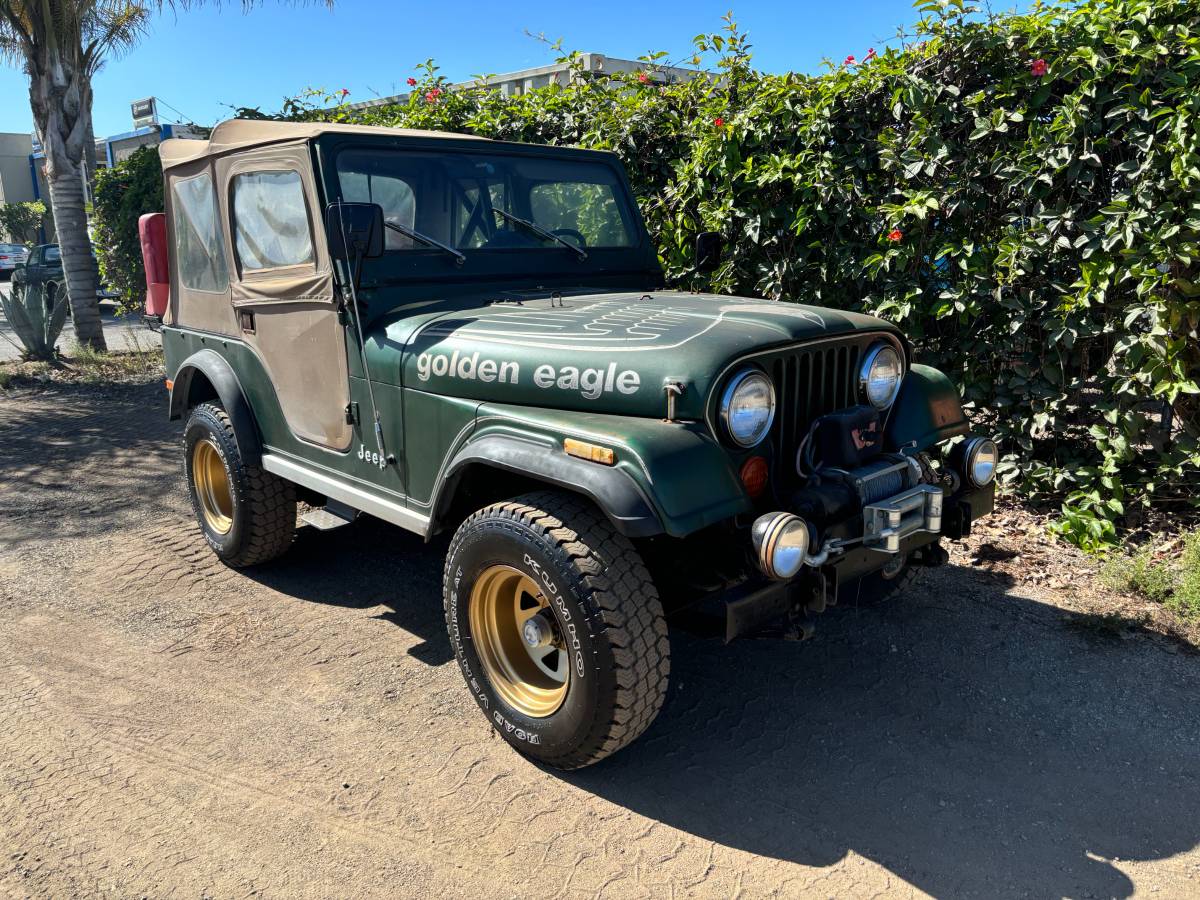 Jeep-Cj-5-golden-eagle-1978-3