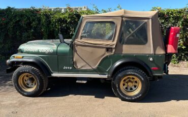 Jeep-Cj-5-golden-eagle-1978-7