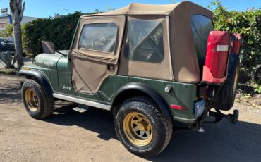 Jeep-Cj-5-golden-eagle-1978-8