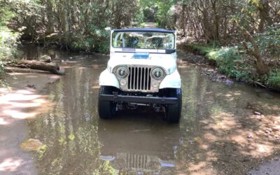 Jeep Cj5 1969