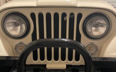 Jeep-Cj5-1976-2