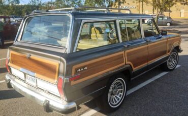 Jeep-Grand-wagoneer-1988-22