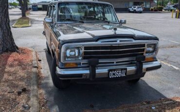 Jeep-Grand-wagoneer-1988-9