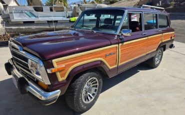 Jeep-Grandwagoneer-1988-1