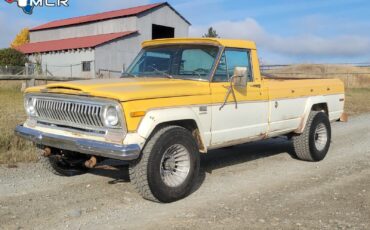 Jeep-J20-1974-6