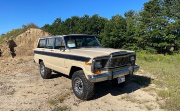 Jeep Wagoneer SUV 1979