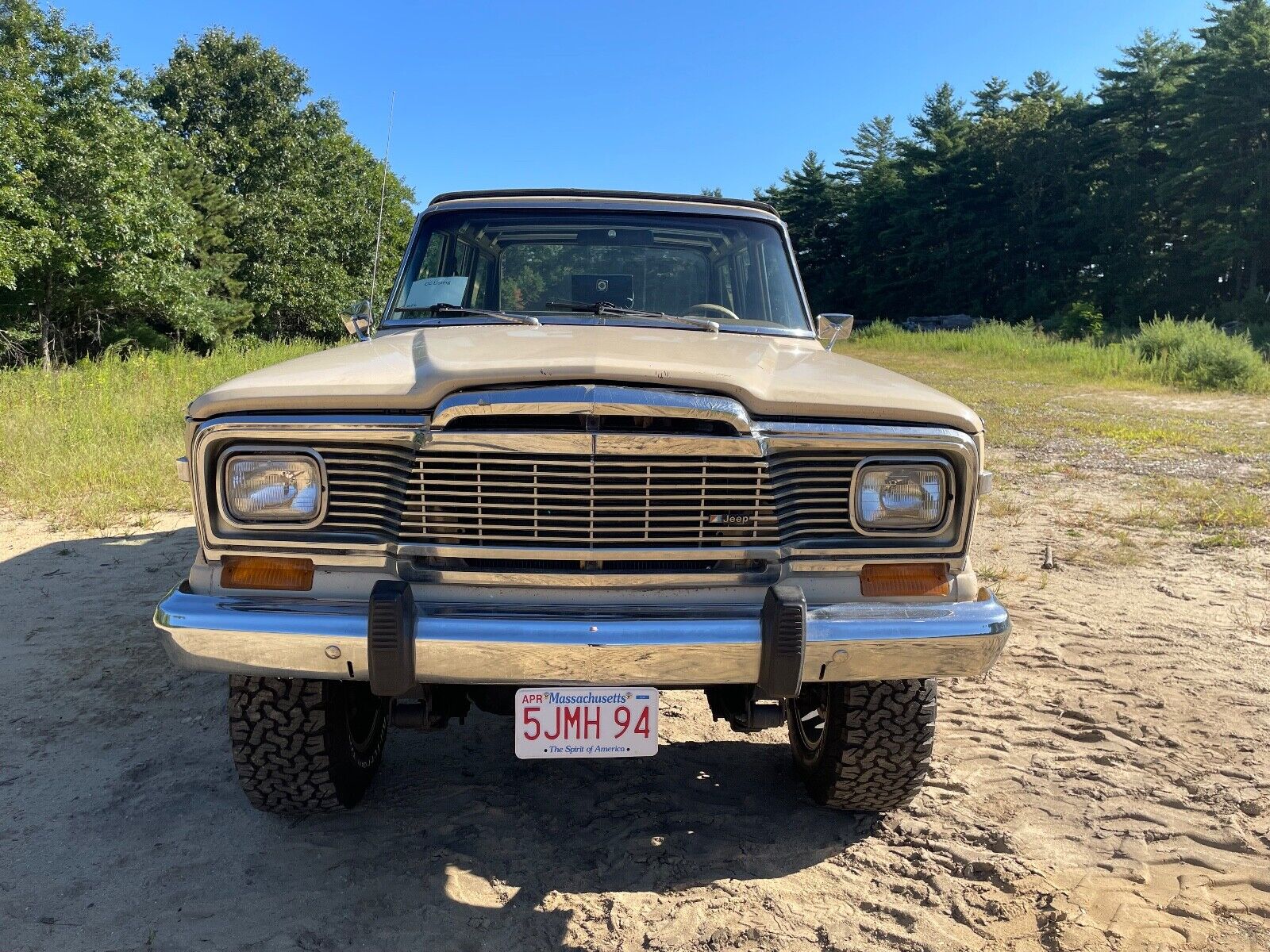 Jeep-Wagoneer-SUV-1979-4