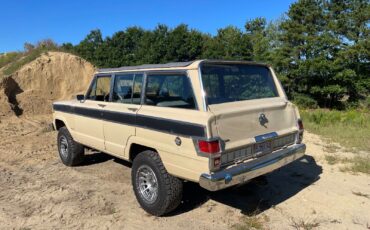 Jeep-Wagoneer-SUV-1979-6