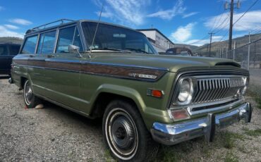 Jeep-Wagoneer-custom-special-1970-13