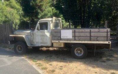 Jeep Willys 1955