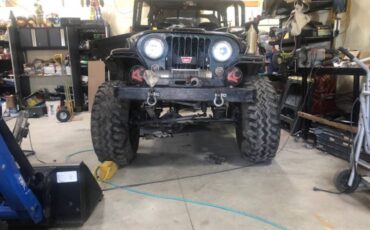 Jeep-Willys-cj-5-1955-4