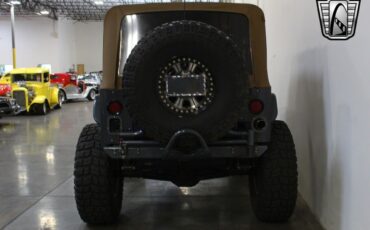 Jeep-Wrangler-1995-10