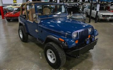 Jeep-Wrangler-1995-8