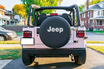 Jeep-Wrangler-SUV-1995-6