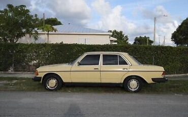 Mercedes-Benz-300-D-1979-1