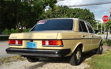 Mercedes-Benz-300-D-1979-3