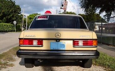 Mercedes-Benz-300-D-1979-4