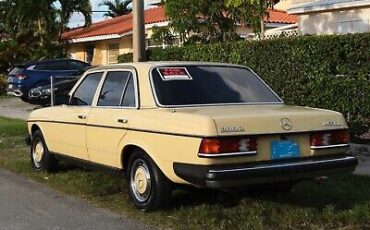 Mercedes-Benz-300-D-1979-6