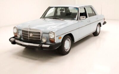 Mercedes-Benz 300-Series 1976